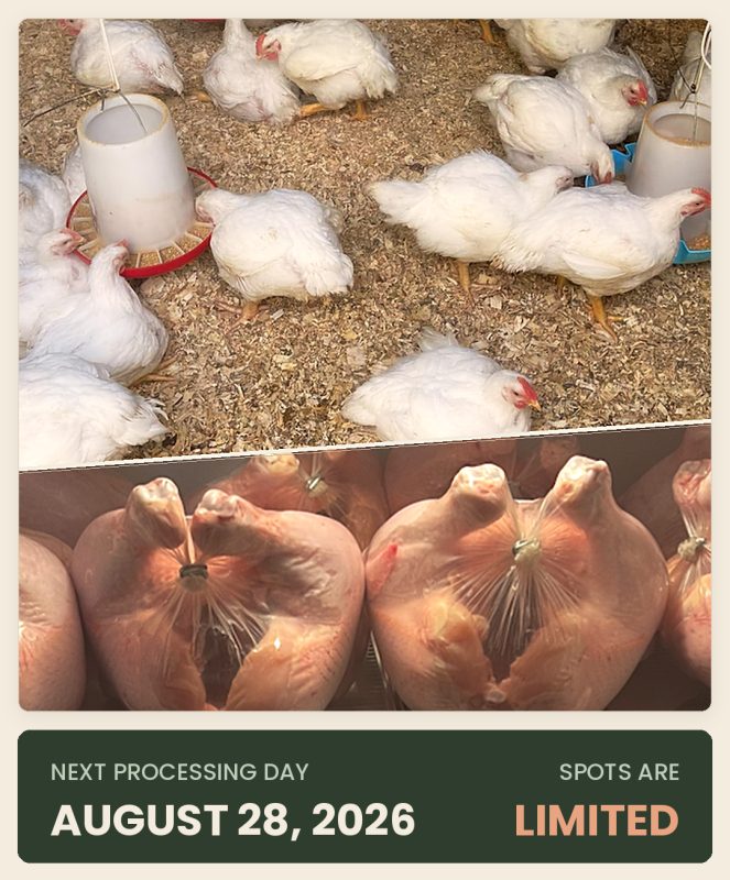 Feathers to Freezer